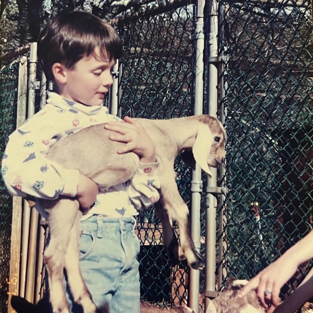 Baby Mitch baby goat